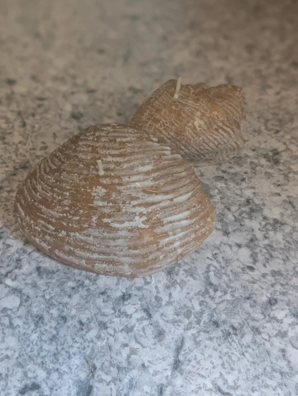 Sea Shell Candles 🐚 - Picture 5 of 5